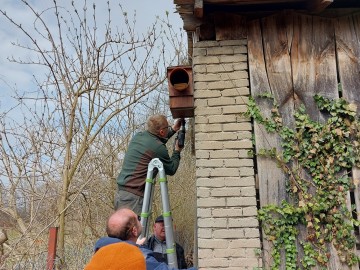 Budki lęgowe dla sowy pójdźki w BPK w ramach projektu „Z Przyrodą na Ty”, 
